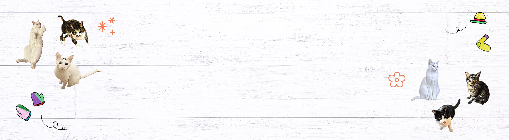 猫たちとアイテム